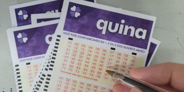 Quina hoje, concurso 7031: Confira o resultado sorteado nesta quinta (21)